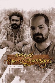 Njan Ninnodu Koodeyundu 2015 on netflix