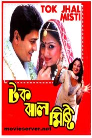 Tok Jhal Mishti 2002 on netflix