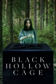 Black Hollow Cage 2017 on netflix