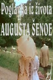 The Life and Times of August Šenoa 1981 on netflix