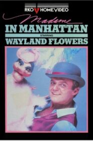 Madame in Manhattan 1981 on netflix