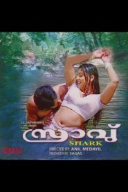 Sravu 2001 on netflix