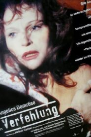 The Mistake 1992 on netflix