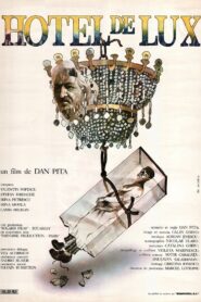 Luxury Hotel 1992 on netflix