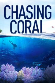 Chasing Coral 2017 on netflix