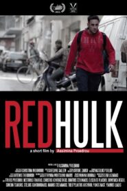 Red Hulk 2013 on netflix
