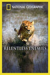 Relentless Enemies: Lions and Buffalo 2006 on netflix