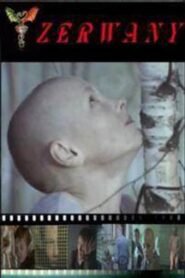 Torn 2003 on netflix
