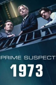 Prime Suspect 1973 2017 on netflix