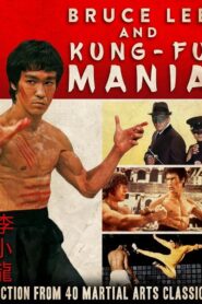 Bruce Lee and Kung Fu Mania 1992 on netflix
