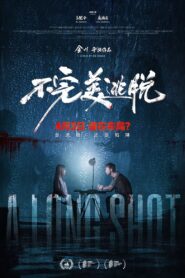A Long Shot 2024 on netflix