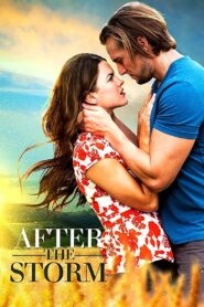 After the Storm 2019 on netflix
