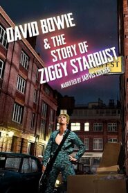 David Bowie & The Story of Ziggy Stardust 2012 on netflix