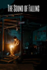 The Sound of Falling 2019 on netflix