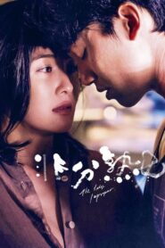 The Lady Improper 2019 on netflix