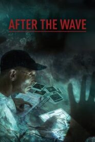 After the Wave 2014 on netflix