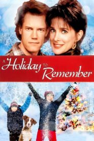 A Holiday to Remember 1995 on netflix
