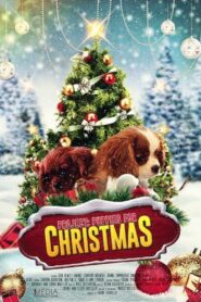 Project: Puppies for Christmas 2019 on netflix