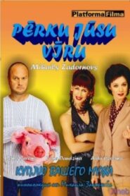 I’m Buying Your Husband 2003 on netflix