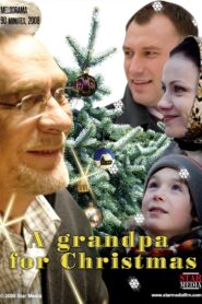 A grandpa for Christmas 2008 on netflix