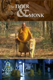The Tiger and the Monk 2007 on netflix