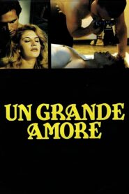 A Great Love 1995 on netflix