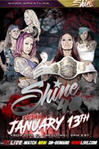 SHINE 40 2017 on netflix