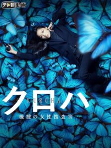 Pla-Baroque 2015 on netflix