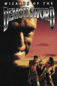 Wizards of the Demon Sword 1991 on netflix
