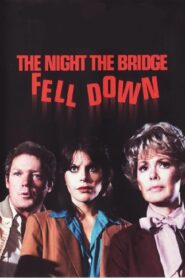 The Night the Bridge Fell Down 1980 on netflix