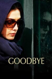 Goodbye 2011 on netflix
