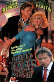 Wild Texas Wind 1991 on netflix