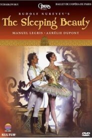 The Sleeping Beauty 2000 on netflix