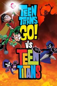 Teen Titans Go! vs. Teen Titans 2019 on netflix