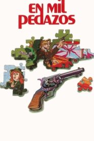 En mil pedazos 1980 on netflix