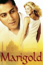 Marigold 2007 on netflix