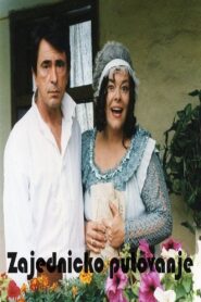 A Joint Journey 2002 on netflix