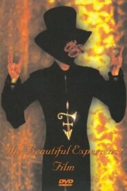 Prince: The Beautiful Experience 1994 on netflix