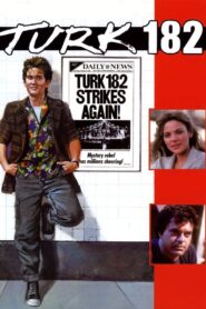Turk 182! 1985 on netflix