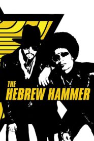 The Hebrew Hammer 2003 on netflix