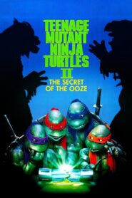 Teenage Mutant Ninja Turtles II: The Secret of the Ooze 1991 on netflix