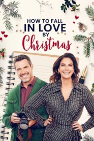 How to Fall in Love by Christmas 2023 on netflix