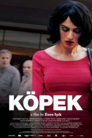 Dog 2015 on netflix
