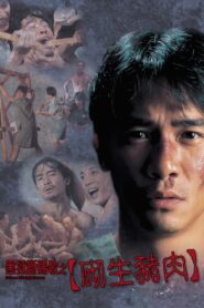 Chinese Midnight Express 1997 on netflix