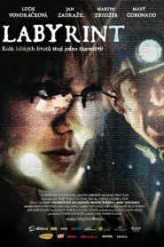 Labyrinth 2012 on netflix