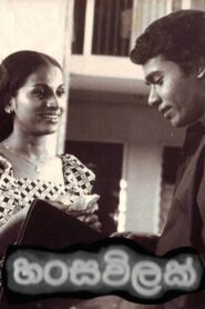 Hansa Vilak 1980 on netflix