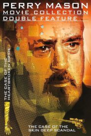 Perry Mason: The Case of the Skin-Deep Scandal 1993 on netflix