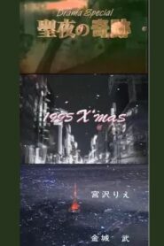 聖夜の奇跡 あなたの好きな愛はどれ? 1995 on netflix