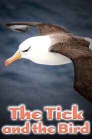 The Tick and the Bird 2002 on netflix