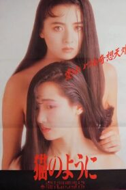 Neko no youni 1988 on netflix